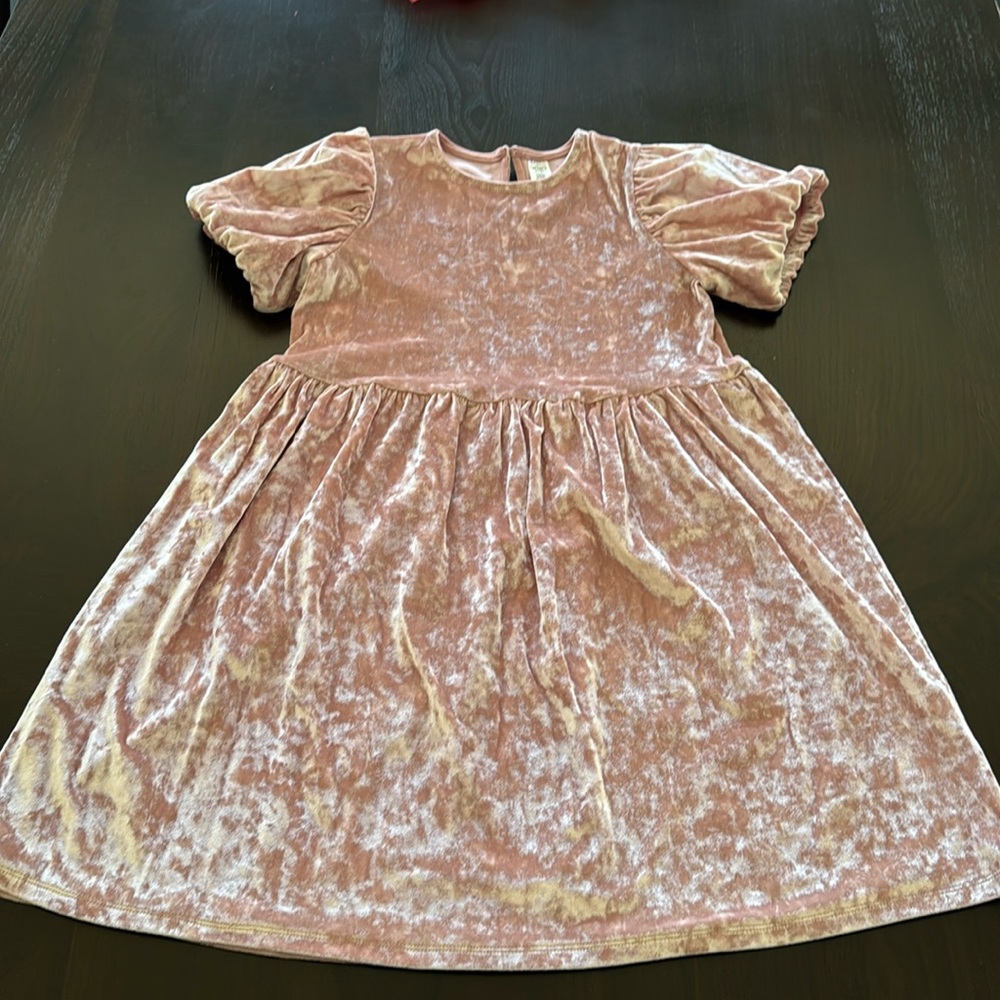Girl’s Carter Pink Crushed Velvet Dress Easter 10/12